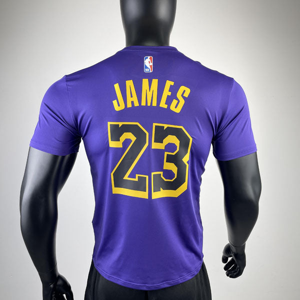 Camiseta NBA Los Angeles Lakers LeBron James 23 DRI-FIT - Roxa