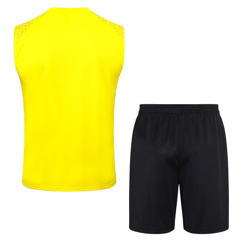 KIT REGATA BORUSSIA DORTMUND 2023 - AMARELO