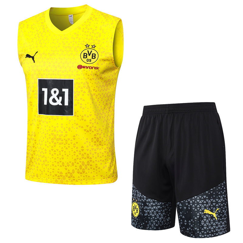 KIT REGATA BORUSSIA DORTMUND 2023 - AMARELO