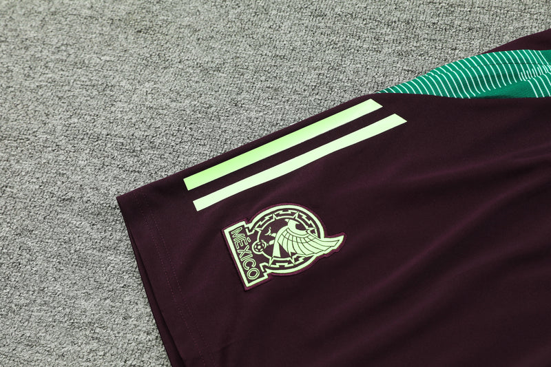 Kit Regata México 2024/25 - Vinho